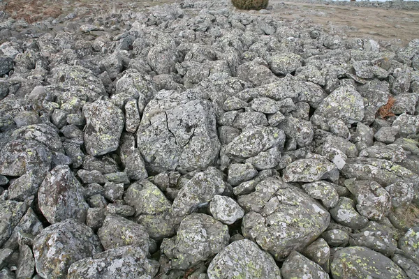Basalt rocks — Stock Photo, Image