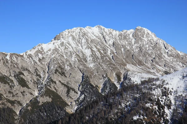 Alpine berg — Stockfoto