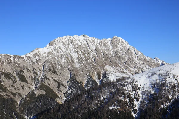 Alpine berg — Stockfoto