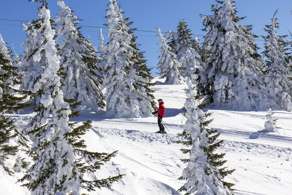 Mann am Skilift — Stockfoto