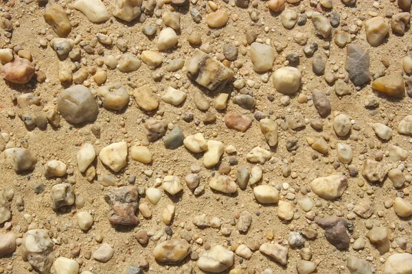 Deserto di pietra — Foto Stock