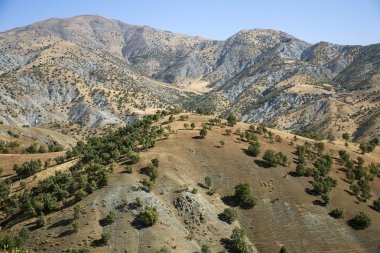 Kurdistan landscape clipart