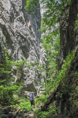 Kanyon Rzav Sırbistan