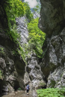 Kanyon Rzav Sırbistan