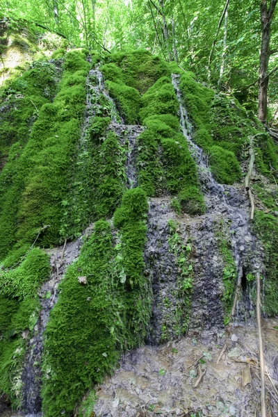 Pequena cachoeira na floresta — Fotografia de Stock