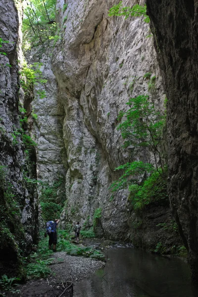 Canyon Rzav na Sérvia — Fotografia de Stock