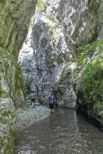 在塞尔维亚的峡谷 Rzav — 图库照片