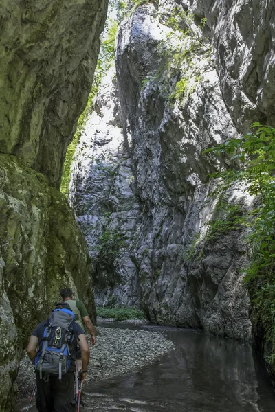 Canyon Rzav in Serbia — Foto Stock