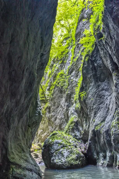 Schlucht rzav in Serbien — Stockfoto