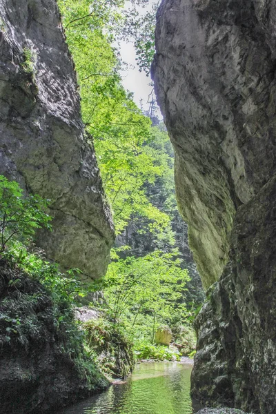 Canyon Rzav na Sérvia — Fotografia de Stock