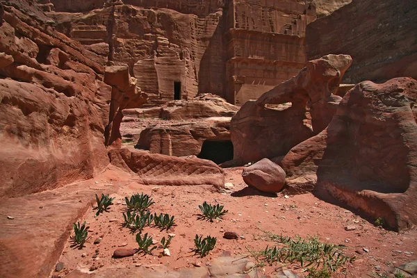 Tumbas de Petra — Foto de Stock