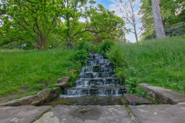 Küçük, çok katmanlı şelale veya şelale yemyeşil bir park veya orman manzarası içinde