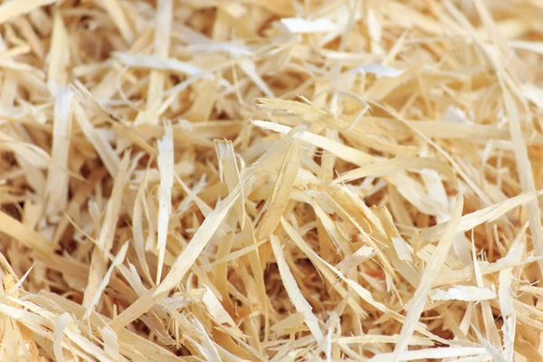 Sawdust — Stock Photo, Image