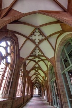 Basel Minster 'ın içindeki Gotik manastır taş kemerler, kubbeli tavanlar ve yumuşak doğal ışık..