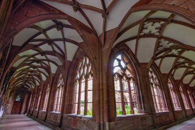 Basel Minster 'ın içindeki Gotik manastır taş kemerler, kubbeli tavanlar ve yumuşak doğal ışık..