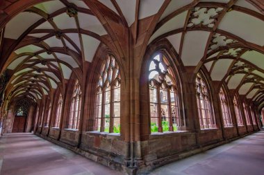 Basel Minster 'ın içindeki Gotik manastır taş kemerler, kubbeli tavanlar ve yumuşak doğal ışık..