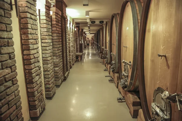 Barriles de vino viejos en una bodega — Foto de Stock