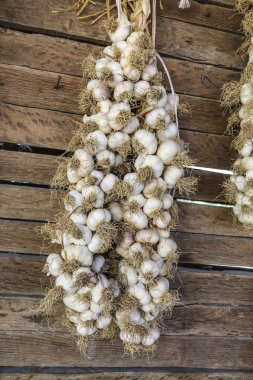 Sarımsak dize duvardaki