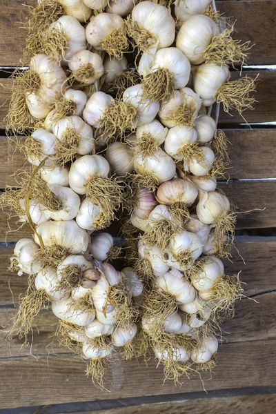 Sarımsak dize duvardaki — Stok fotoğraf