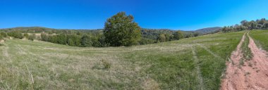 Panoramik manzaralı central Serbia alanından