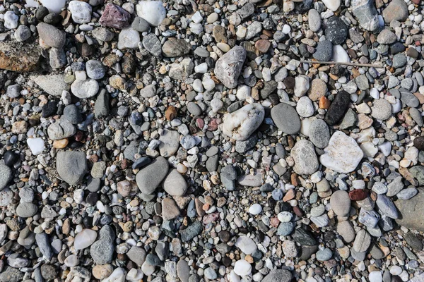 未分级的河鹅卵石 — 图库照片