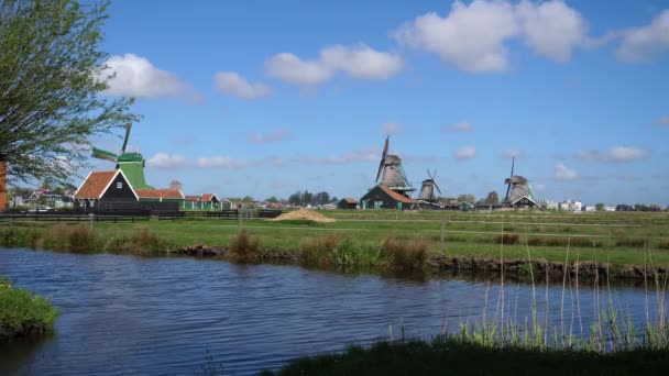 Вітряні Млини Річці Заансе Нідерланди — стокове відео