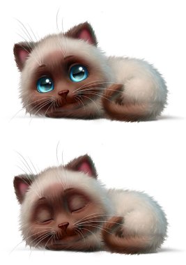 kabarık kedi güzel