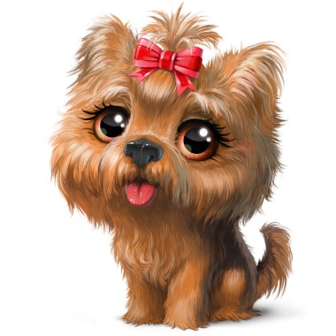 Yorkshire terrier yavrusu