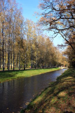 SAINT PETERSBURG, PUSHKIN, RUSSIA-ECTOBER 18, 2020: Tsarskoye Selo 'daki Alexander Park' taki Altın Sonbahar Haç Kanalı.