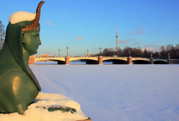 Saint Petersburg Russia February 2021 Sculpture Sphinx Malaya Nevka Embankment — Stock Photo, Image