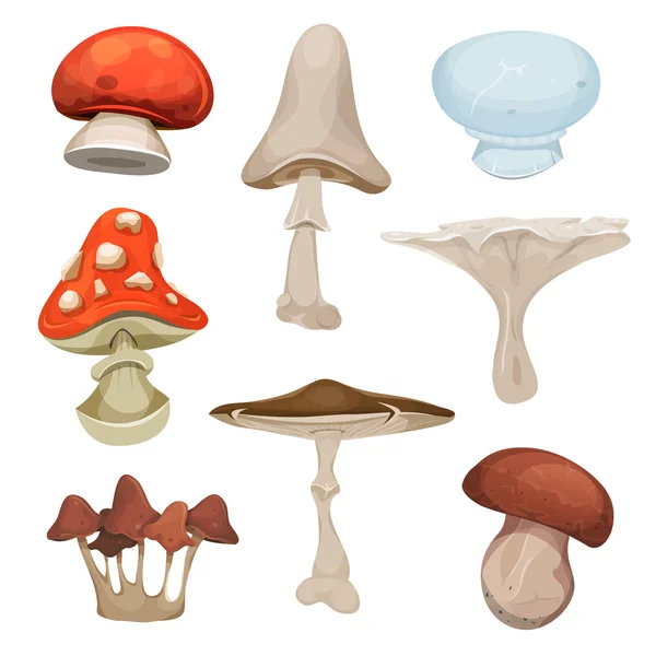 Set met diverse soorten champignons — Stockvector