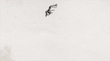 Soyut Kurukafa Kafatası Çizim Arkaplan Animasyonu / 4k soyut eski bir kağıdın animasyonu Boğa kafatası baş oymalı mürekkep desenli