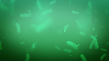 Abstract Virus And Microbe Germs Microscope View Background Loop/ 4k animation of a health and medicine background with virus and germs in science microscope view seamless looping, in slow motion