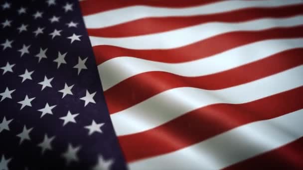 American Flag Textured Background Loop Animation Texted American Flag Background — 비디오