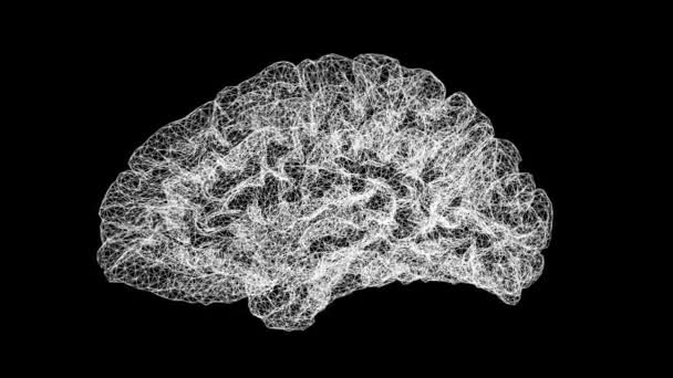 Abstraktní Věda Digitální Mozek Wirferame Texturovaná Smyčka Animace Abstraktního Vědeckého — Stock video