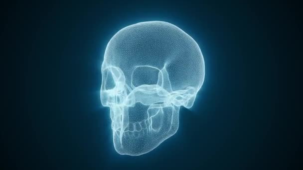 Abstract Digital Skull Wireframe Textured Loop Animation Abstract Science Background — стоковое видео