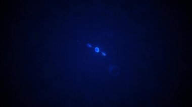 Koç Burcu İşaretleri Takımyıldızları Bir burç burcunun arka plan / 4k animasyonu Astrolojik takımyıldızı ve uzay arka planında sembolü olan simgeleri imzalar