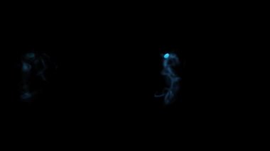 Scifi Movie Römorkörü geliyor. Kısa bir süre sonra gelecek olan film metni, sinemanın fragmanında olduğu gibi, 4k Scifi film tarzını gözler önüne seriyor.