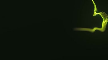 Soyut Akışkan Parçacıklar Grafiksel Giriş Arkaplan / 4k Soyut akışkan parçacıkların canlandırması arkaplan grafik tasarımı