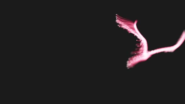 Abstract Fluid Particles Graphic Intro Achtergrond Animatie Van Een Abstract — Stockvideo