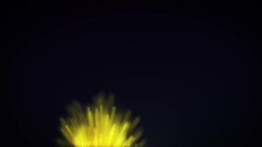 Soyut Akışkan Parçacıklar Grafiksel Giriş Arkaplan / 4k Soyut akışkan parçacıkların canlandırması arkaplan grafik tasarımı