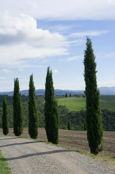 Paysage rural avec collines toscanes typiques en Italie . — Photo