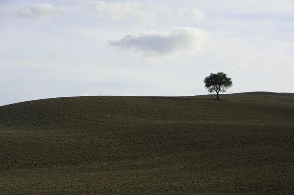 Toskania - panorama pejzaż, wzgórza i łąka, Toskania - Włochy — Zdjęcie stockowe