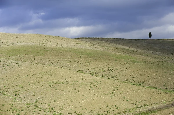 Toskania - panorama pejzaż, wzgórza i łąka, Toskania - Włochy — Zdjęcie stockowe