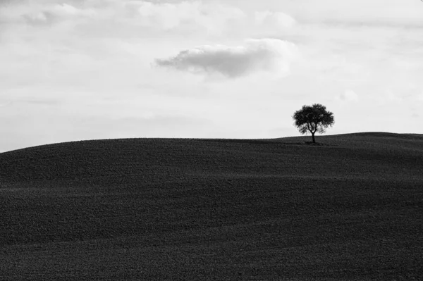 Tuscany - manzara panorama, tepeler ve çayır, Toscana - İtalya — Stok fotoğraf