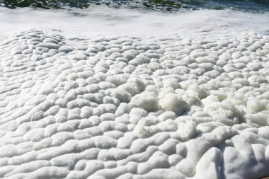 Göl üzerinde köpük