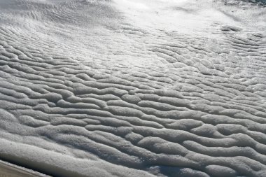 Göl üzerinde köpük