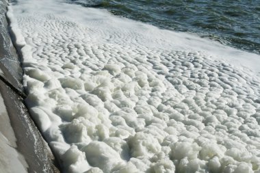 Göl üzerinde köpük