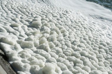 Göl üzerinde köpük