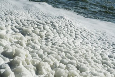 Göl üzerinde köpük